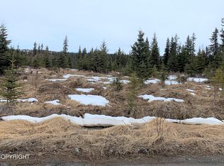 55415 Benjamin Ave, Homer, AK 99603