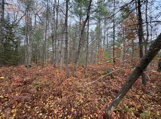 8 & 9 N Partridge Rd, Frederic, MI 49733