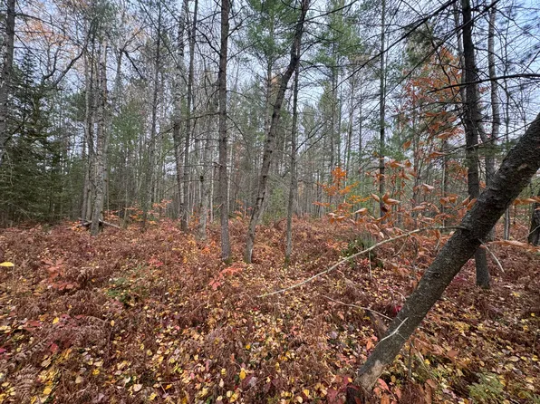 8 & 9 N Partridge Rd, Frederic, MI 49733