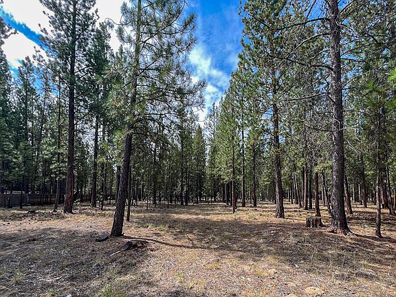 2nd image of 15035 Black Cottonwood