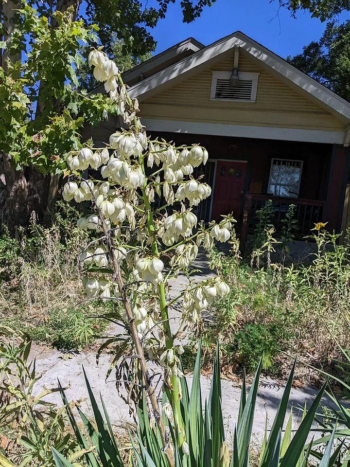 410 Ann Ave — Photo 1