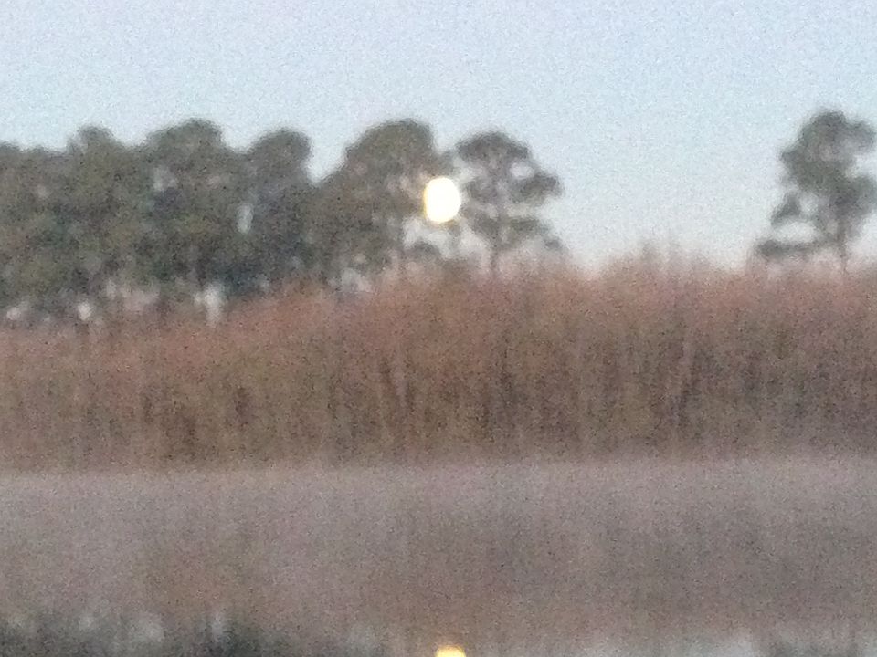 1147 Hilda Dr, Jackson, MS 39213 Zillow