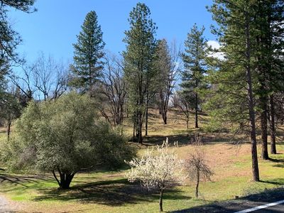 7216 Railroad Flat Rd, Mountain Ranch, CA, 95246