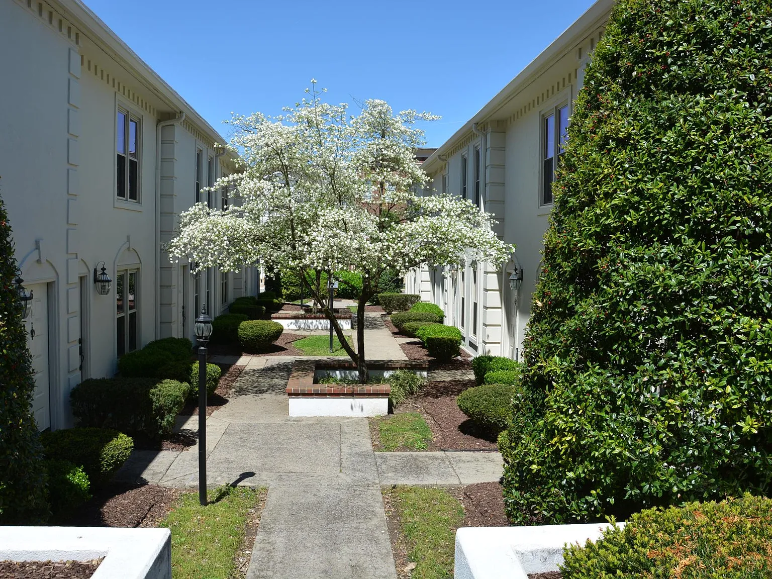 2 bed, 2.5 bath, 1008 sqft, $2,250 — Photo 3