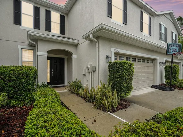 20542 Grand Vista Ln, Tampa, FL 33647