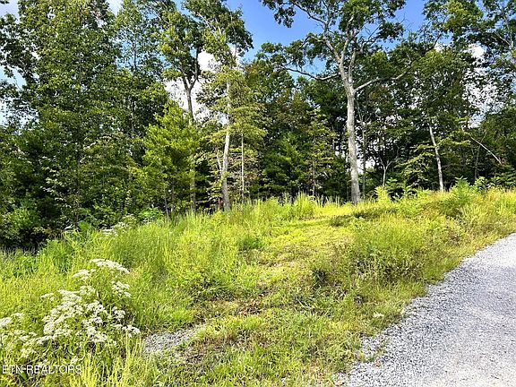 4th image of 125 Chestnut Mountain Rd Lot 1