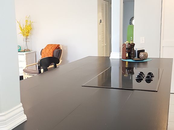 Custom Counter with Coocktop