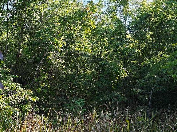 5th image of 114 N Goodman Rd