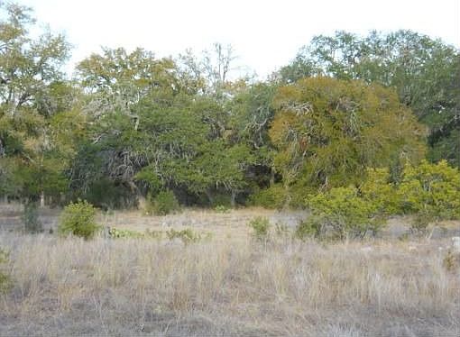 1st image of 449 Hanging Oak