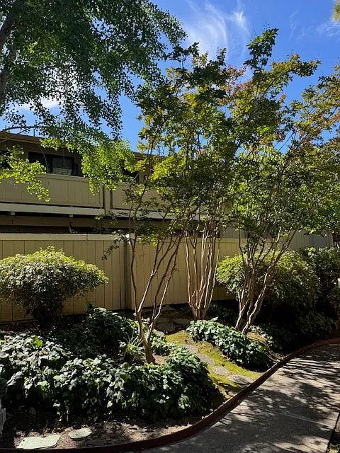 2 bed, 884 sqft, $3,000 — Photo 1
