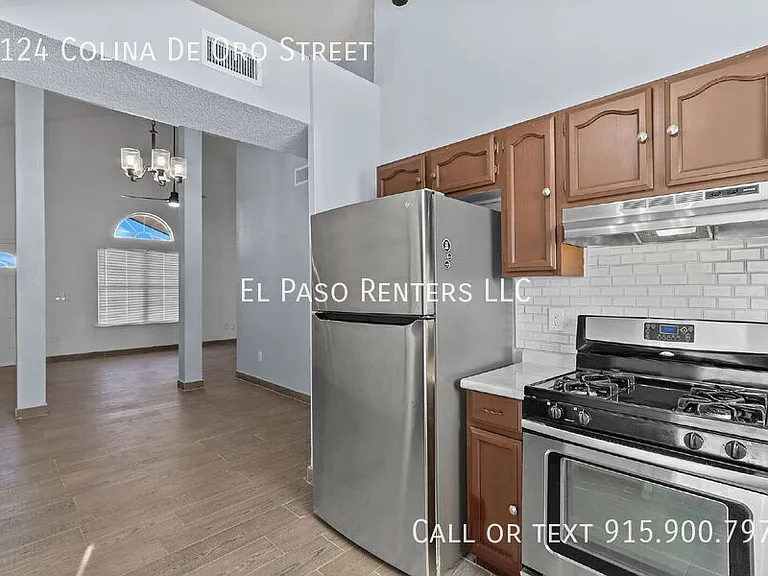 1124 Colina De Oro St — Photo 14