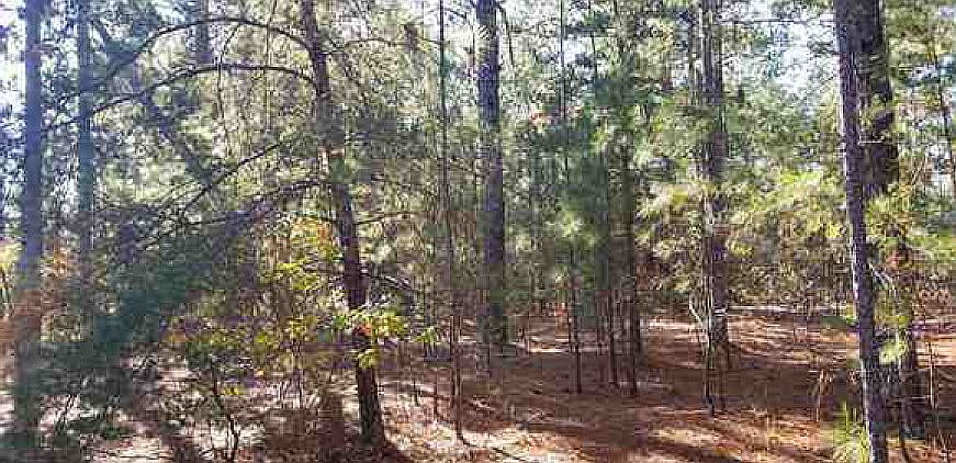 1st image of McKenzie Ln