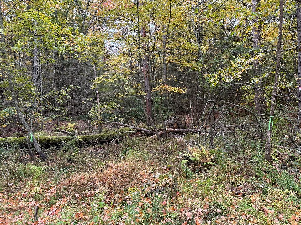 2nd image of 0 Old Stage Rd