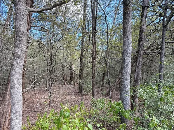 Tbd Hanauma, Bastrop, TX 78602