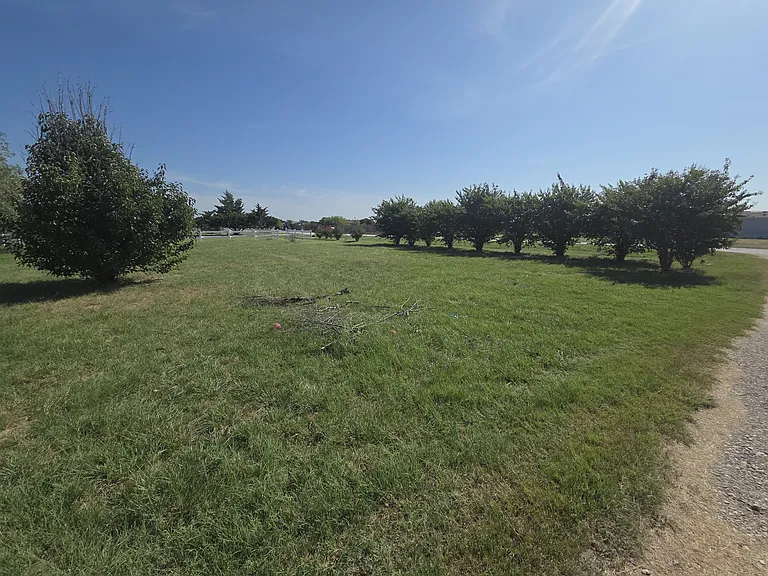 8444 Longhorn Dr — Photo 10