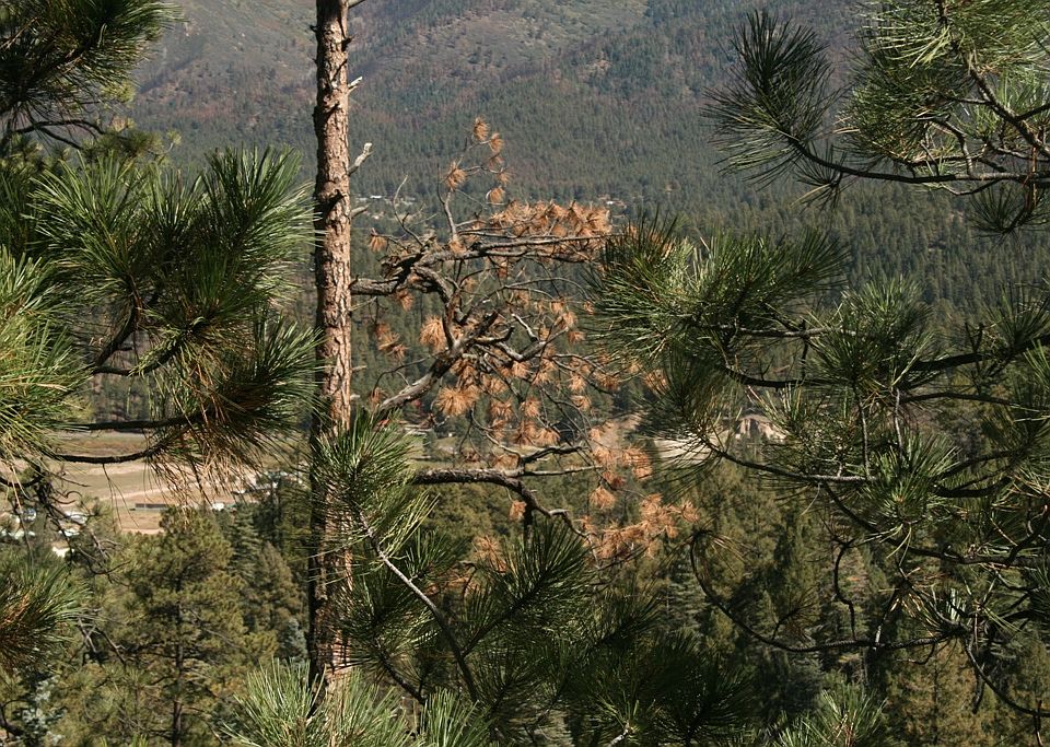 2nd image of Cielo Vista Rd
