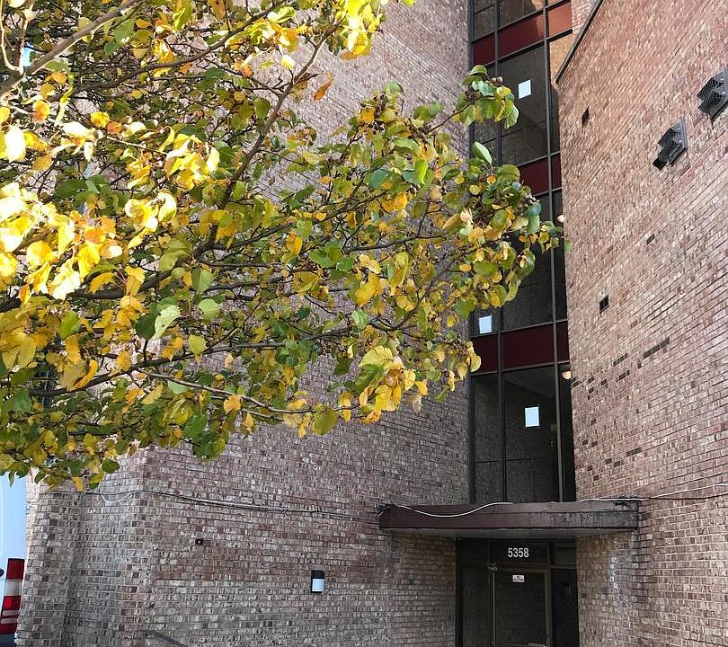 1st image of 5348 N Cumberland Ave APT 522-2