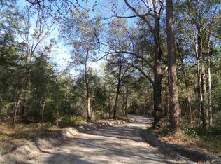 Vacant Se River Rd, Lee, FL 32059