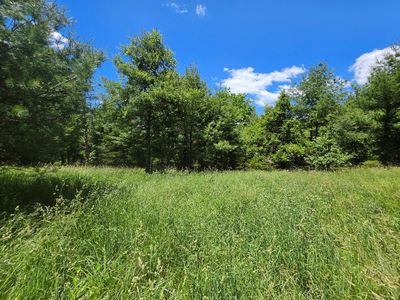 Tbd Oak Grove Rd, Woodlawn, VA, 24381
