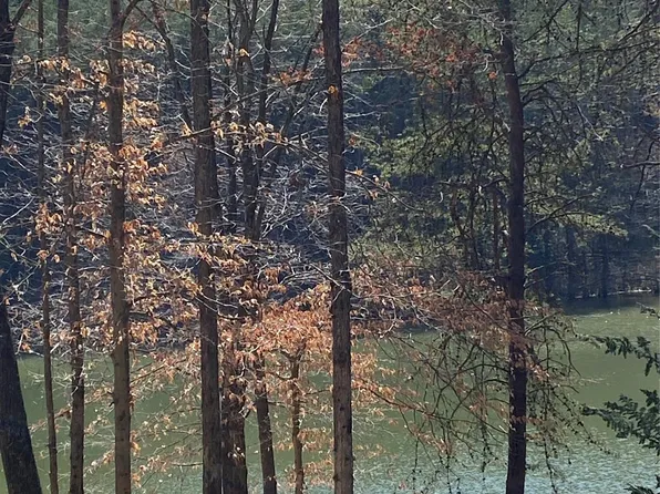 Double Eagle Dr #24, Nebo, NC 28761