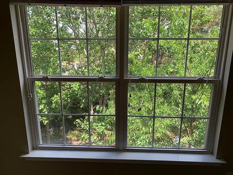 view of backyard from 3rd bedroom