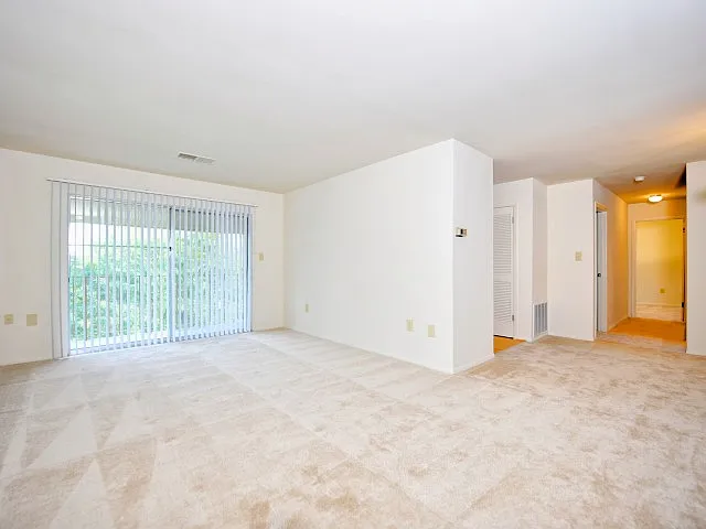 Living Room Space