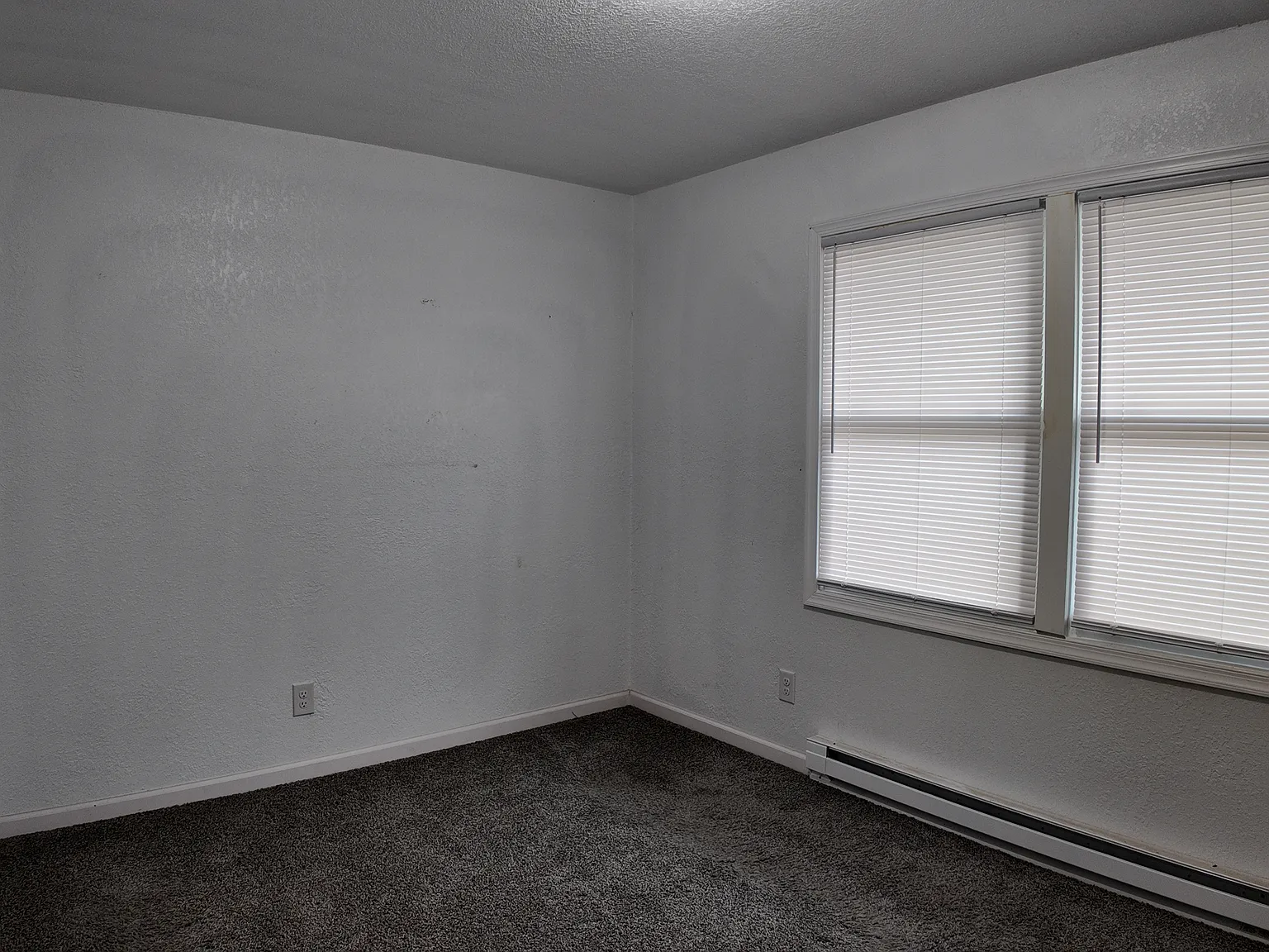 3 bed, 1000 sqft, $1,450 — Photo 4