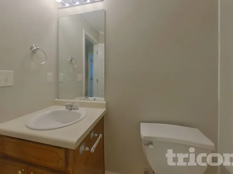 222 Amelia Creek Way — Photo 13