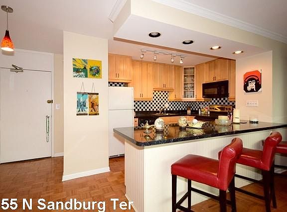 3rd image of 1255 N Sandburg Ter Unit 1108