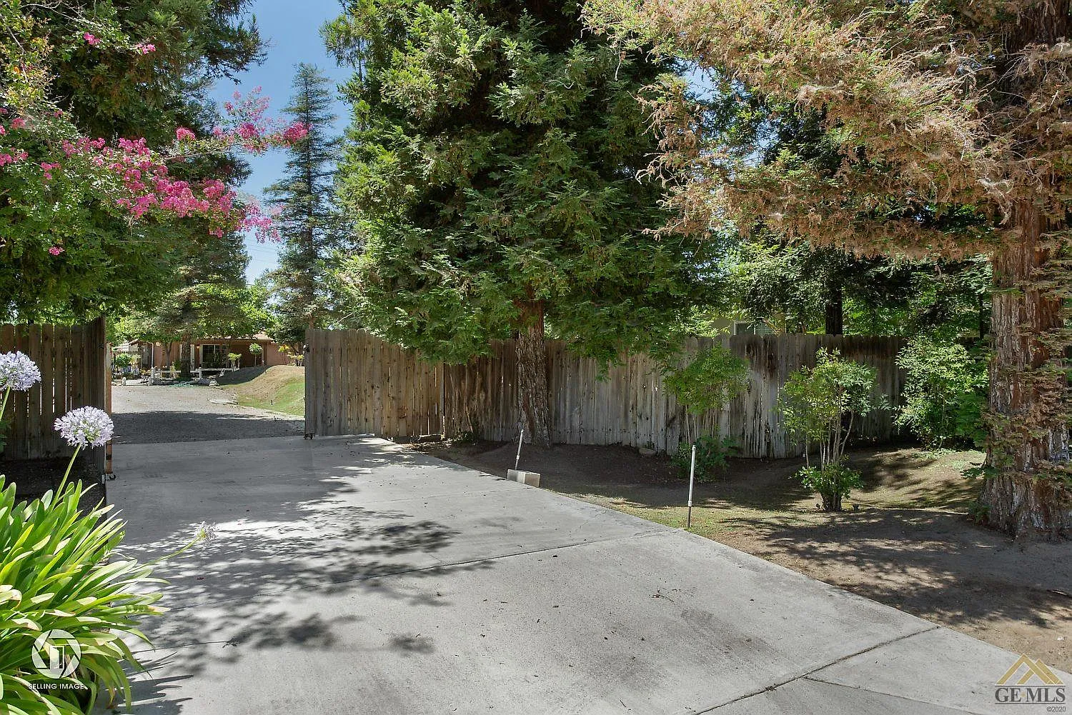 6317 Almond Dr photo 1