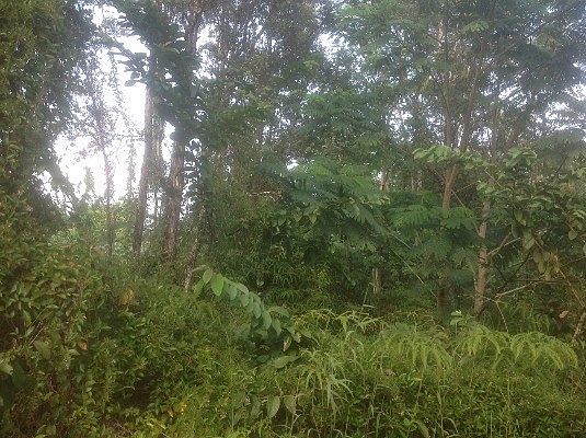 1st image of Lalakea St Lot 17