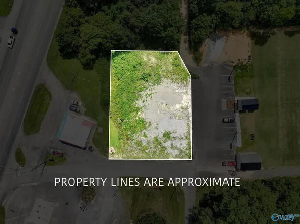 J W Darnell Ave, Guntersville, AL 35976