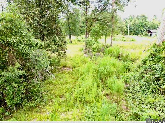 4th image of 31287 Norred Rd