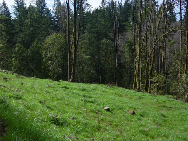 1/2 ac grazing area