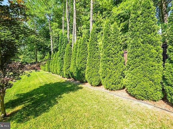 5th image of 4693 Abbott Ct