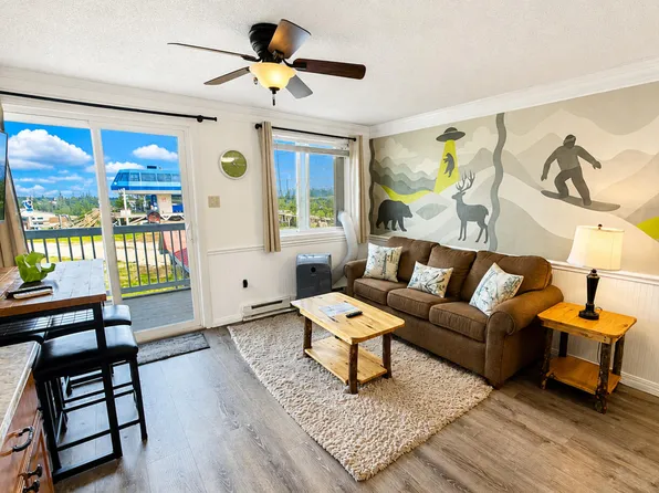 75 Mountain Lodge Ln, Slatyfork, WV 26291