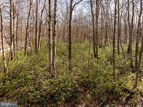 3rd image of 27 Gobbler Run Rd