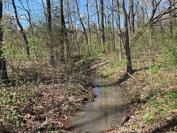 Creek 1