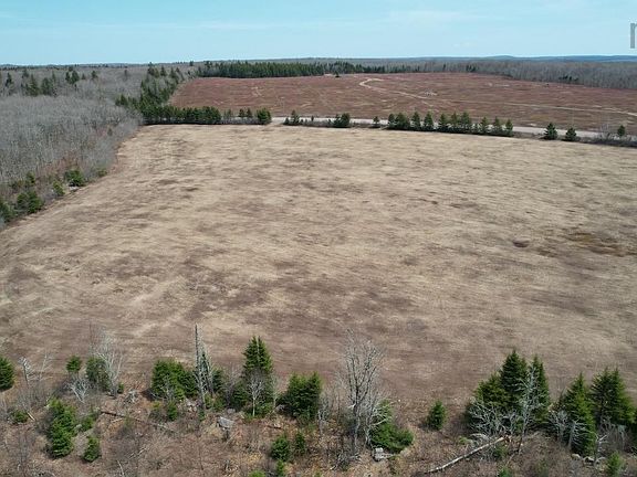 5th image of Lynn Rd
