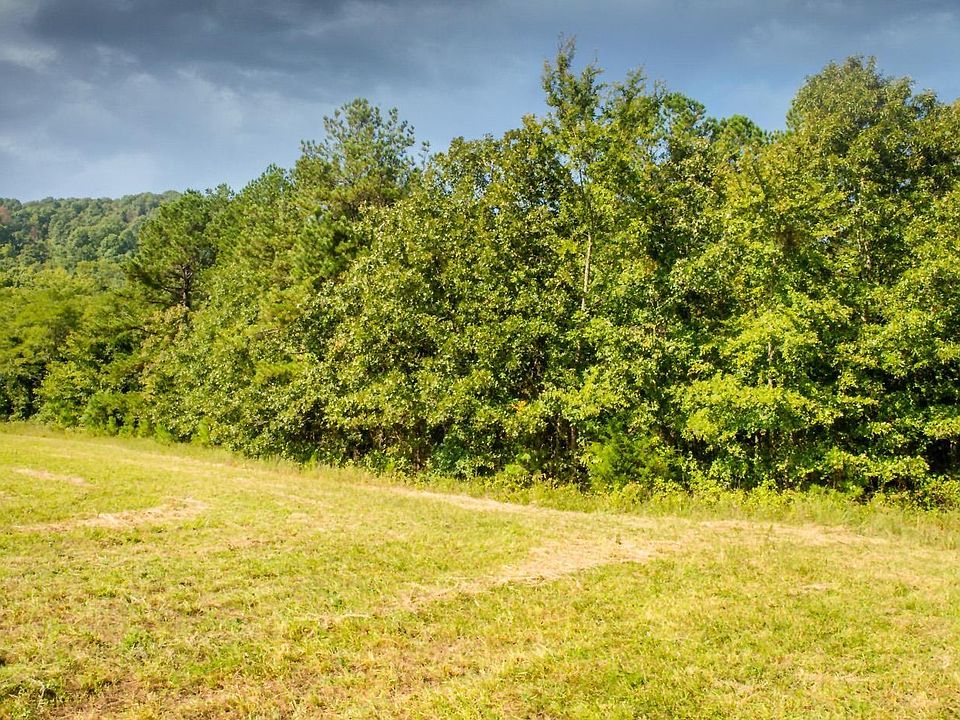 11195 Push Mountain Rd, Calico Rock, AR 72519 Zillow