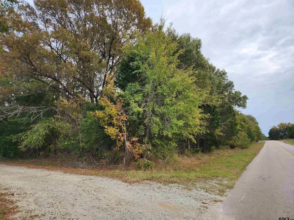 13676 S County Road 420, Tyler, TX 75704