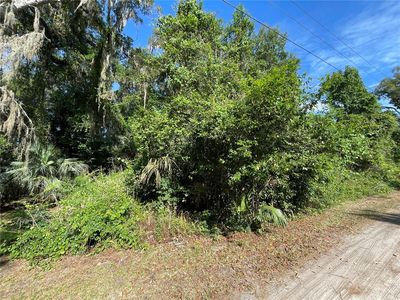NE 37th Ter Lot 32, Citra, FL, 32113