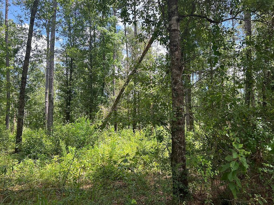 2nd image of Tom Bruce Rd