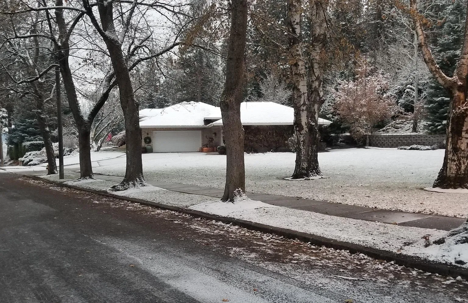 1 bed, 800 sqft, $2,100 — Photo 4