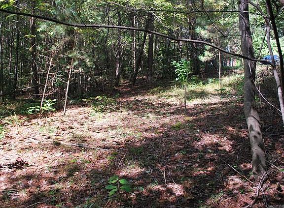 3rd image of 6 Cricket Cove Ct Lot 6