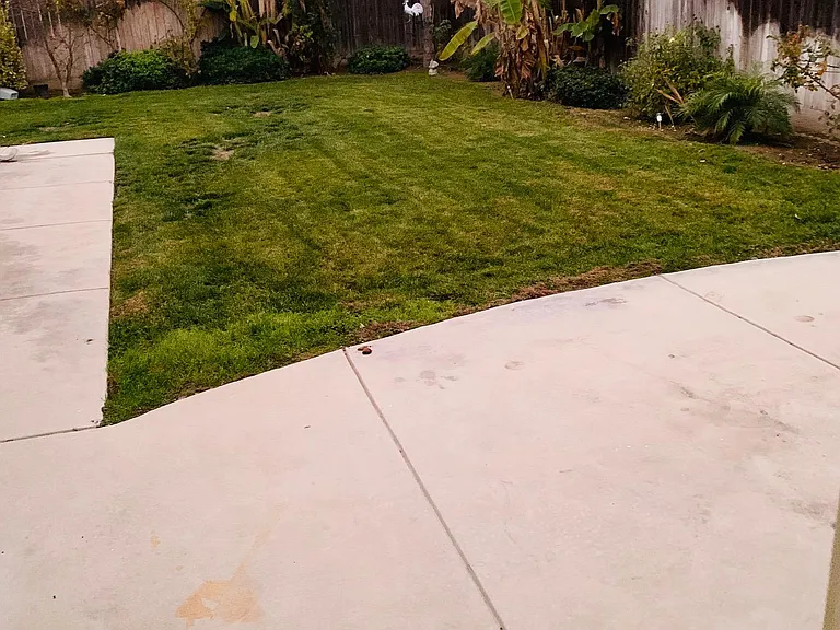 Huge backyard, fully landscaped and well-kept.A tropical vibe. Blooms beautifully during spring and summer months.