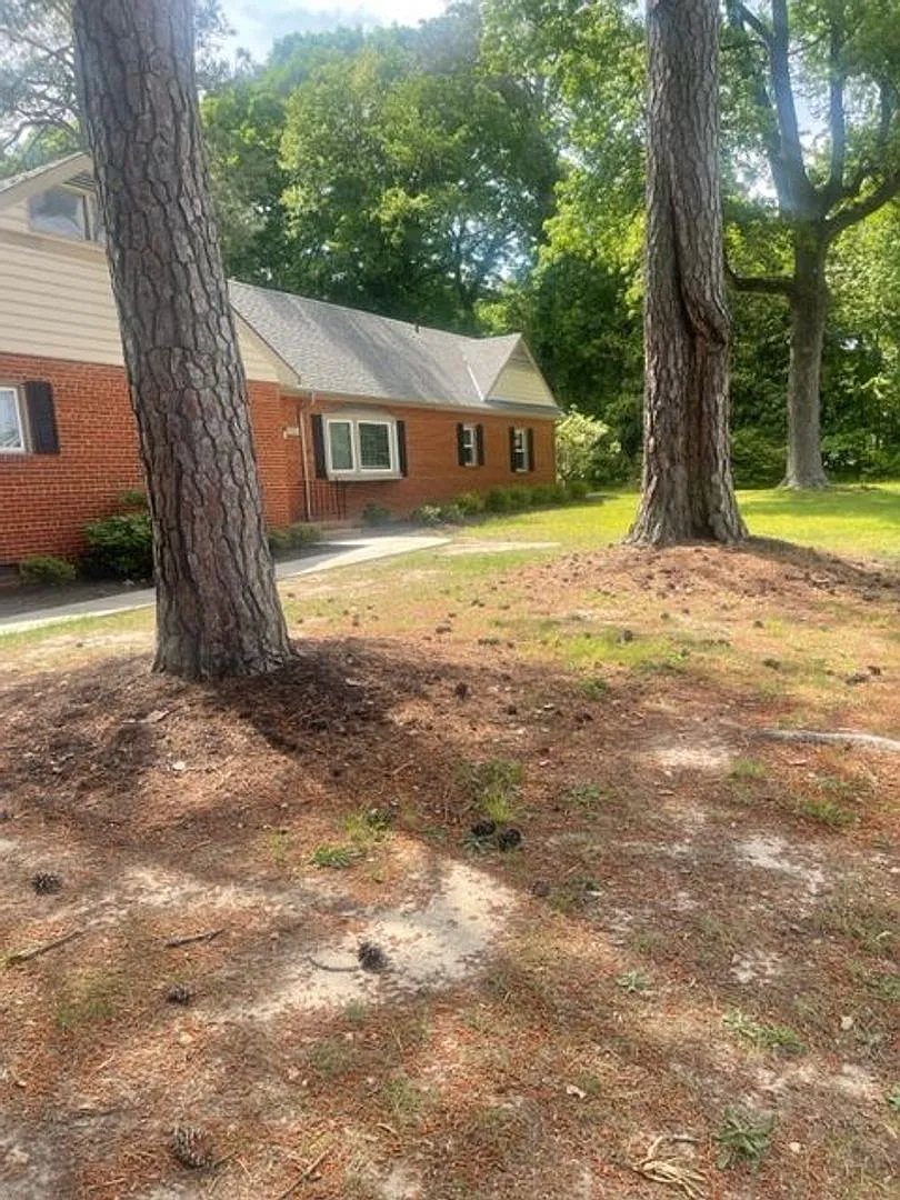 5 bed, 2.0 bath, 2251 sqft, $3,775 — Photo 3