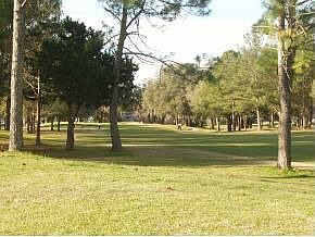 5th image of 11557 Creek Dr