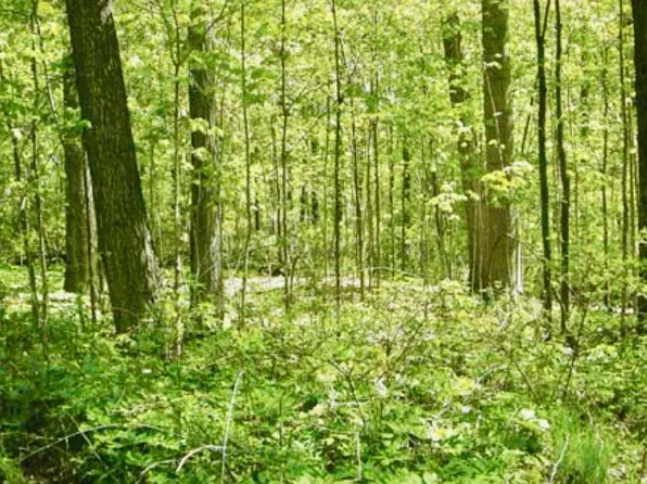 0 Carolyn Ln, Mabelvale, AR 72103