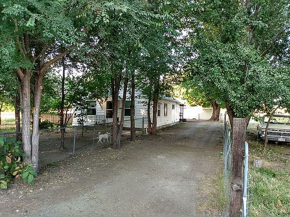 Mature shade tree lined drive